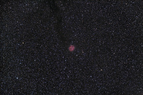 IC5146_Cocoon LRGB LZOS-FL 2012-09-18_2-500x333 IC5146_Cocoon LRGB LZOS-FL 2012-09-18_2-500x333